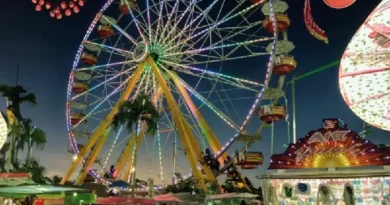 What city in Florida has the strawberry festival?