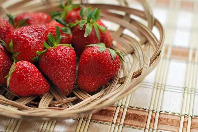 What city in Florida has the strawberry festival?